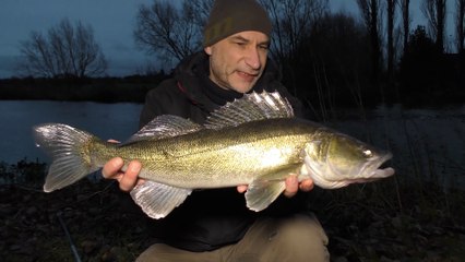 A Very Productive Dusk Zander Session On The Warwickshire Avon - 6/12/18 (Video 92)