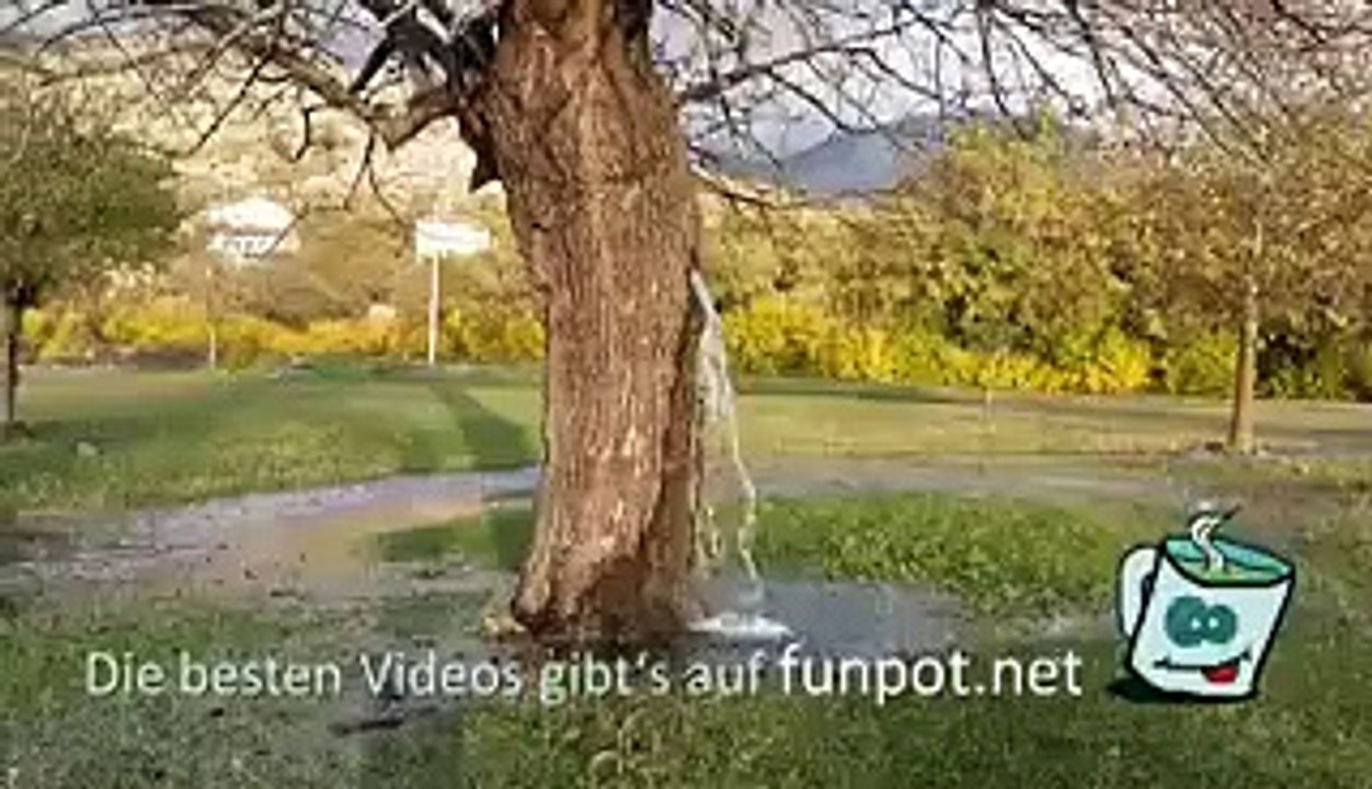 Amazing video - must see