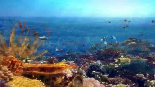 Eine Aufzeichnung von Gottes Werk der Erschaffung der Welt und der Führung und Erlösung der Menschen