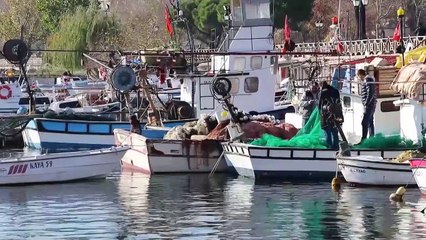 Tezgahın gözdesi çinekop - TEKİRDAĞ