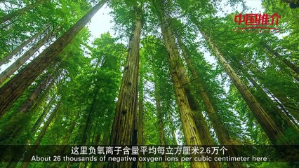 China Recommendation--Guidong