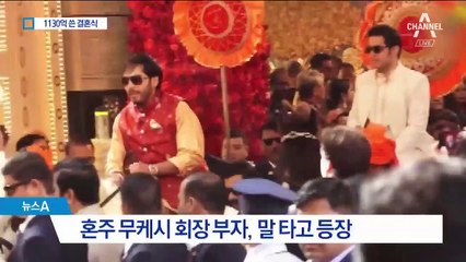 일주일간 1130억…인도 갑부 딸의 초호화 결혼식
