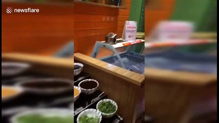 Rat caught drinking water in Chinese restaurant by the buffet table