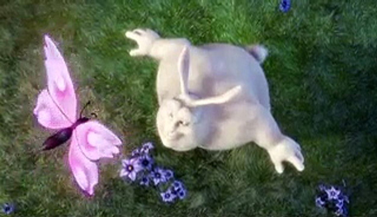 99627a_bbb.mp4