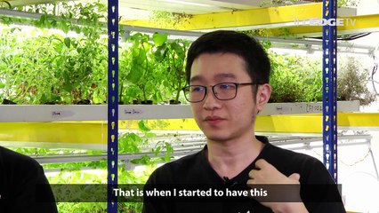 UPSTART: Taking urban gardening mainstream