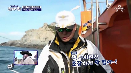 킹태곤 히트! '이 녀석은 참돔이다' 낚싯대, 휘기 시작하는데!?(부시리 치트키 태곤)