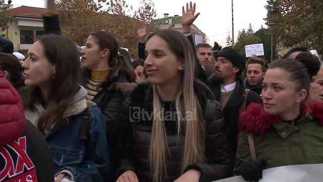 Protesta, Rama: Shuplake per qeverine, grusht per opoziten