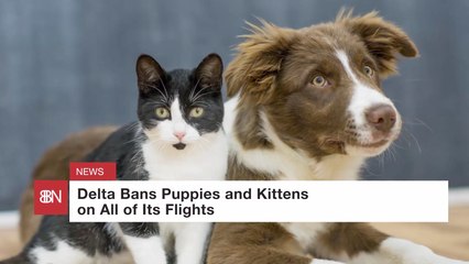 Delta Is Banning Some of Your Closest Relatives