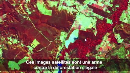 Brésil: 2 nouveaux satellites pour surveiller la déforestation