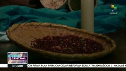 Colombia: FENSUAGRO entrega a la JEP informe sobre víctimas
