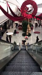 Santa Paws Goes Up Up and Away