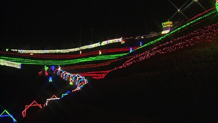 녹차 밭 화려한 빛 축제로 오세요! / YTN