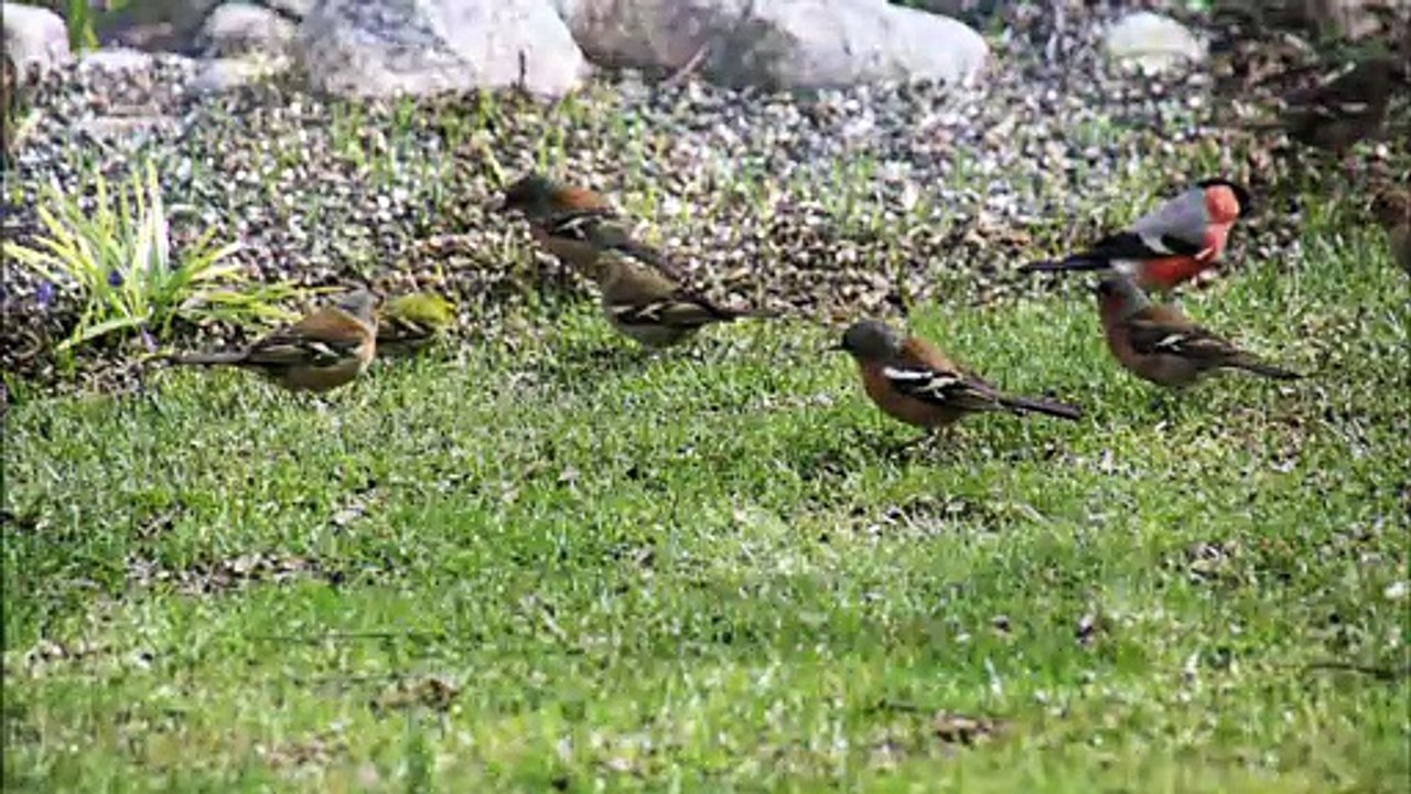 Jahresrückblick 2018