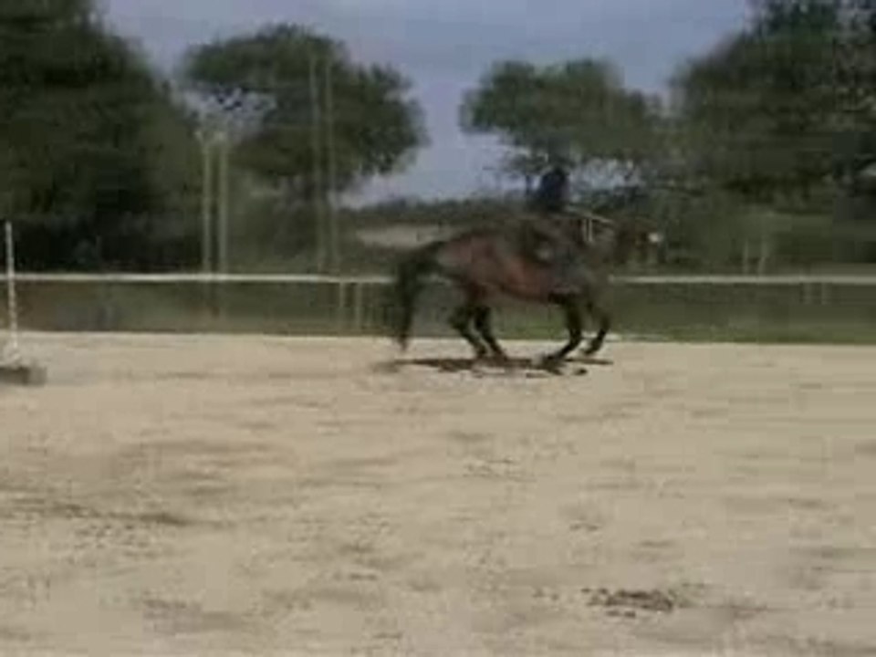 Papaye obstacle oct 2007 2ème partie