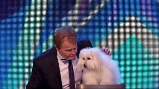 Britain's Got Talent 2015 S09E01 Marc Métral with his Hilarious Talking_Singing Dog Wendy Full Video -