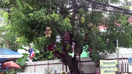 Teddy Bears Hanging From Car Repair Shop For &apos;Good Luck&apos;