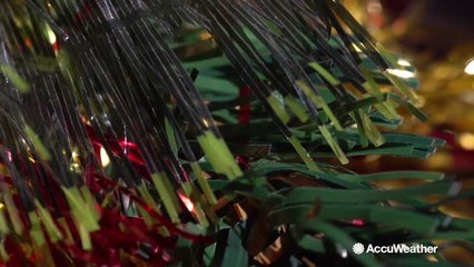 Are real or artificial trees more sustainable?