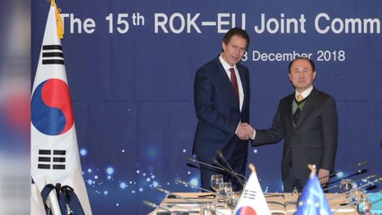 외교부 "EU 철강 세이프가드로 韓 피해 없어야" / YTN