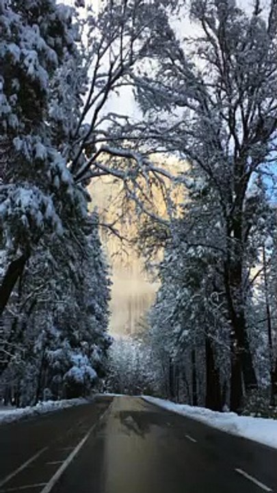 Yosemite in Winter