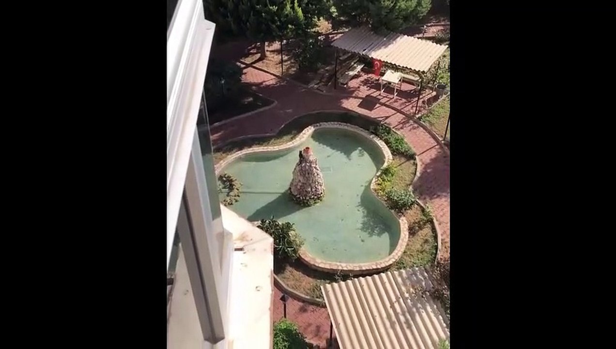 Yaramaz Bir Kedi
