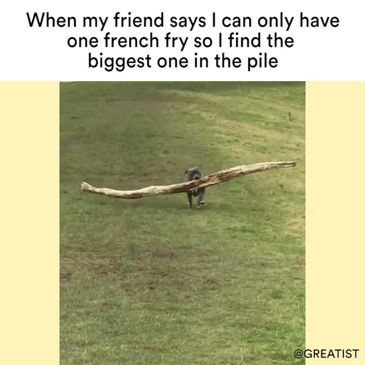 When my friend says I can only have one french fry so I find the the biggest one in the pile