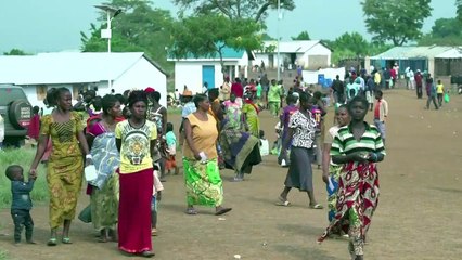 Congolese citizens-in-exile follow DRC election from afar