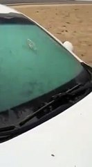 Kako brzo odmrznuti stakla na automobilu