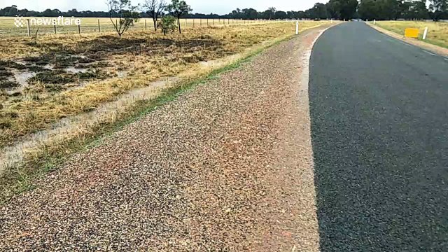 Ominous clouds hang over Victoria skies as storm system rolls in