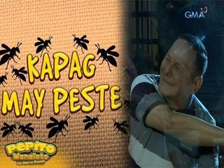 Pepito Manaloto: Peste problems ni Pitoy! | Teaser Ep. 323