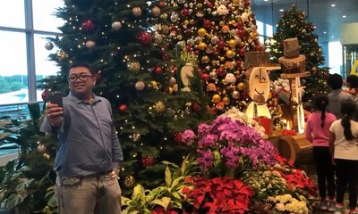 Suasana Natal Bertema Dunia Sihir di Bandara Changi