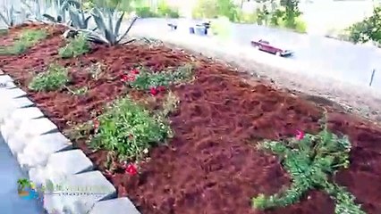 Gorilla Bark Mulch and Plants Installation