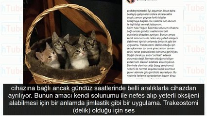 Mehmet Ali Erbil'in kardeşi Yeşim Erbil'den flaş açıklama! 'Tüm olanları abime anlatmıyoruz'