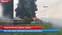 Arnavutköy’de fabrika yangını