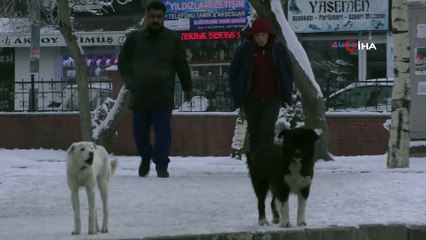 Ardahan'dan kartpostallık manzaralar...Gece eksi 18’i gördü, Türkiye’nin en soğuk ili oldu