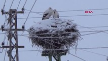 Ardahan Göle'de Termometreler Eksi 24,5 Oldu