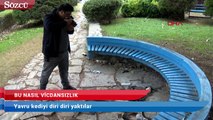 Bu nasıl bir vicdansızlık! Yavru kediyi diri diri yaktılar