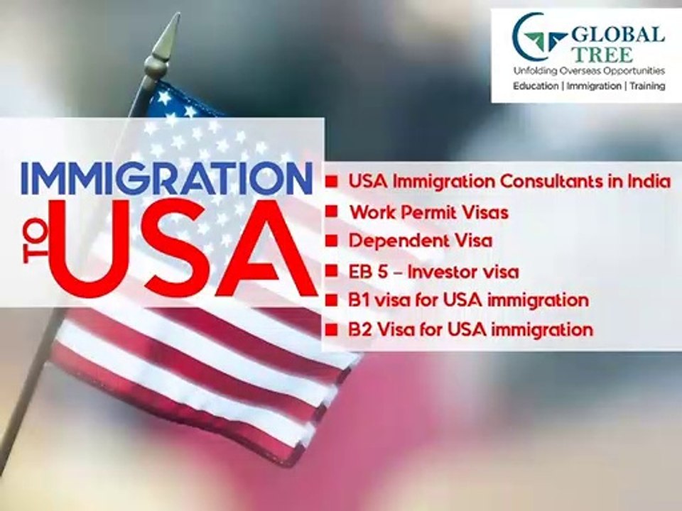 USA Immigration Consultants In India | Immigration to USA - Global Tree