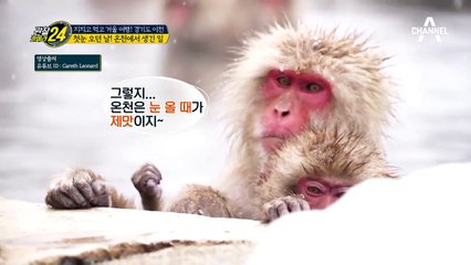 첫눈 오던 날 야외에서 온천을?! 겨울 온천의 백미 이천 '노천 온천'♨