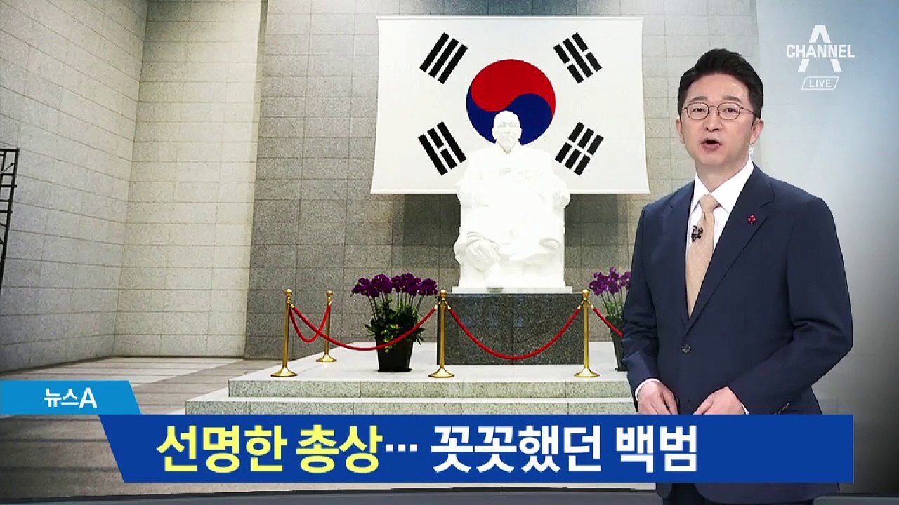 가슴에 선명한 총상…꼿꼿했던 백범의 모습