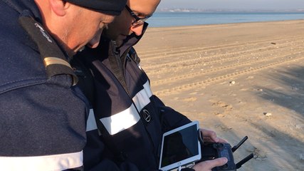 Recherche animal sauvage