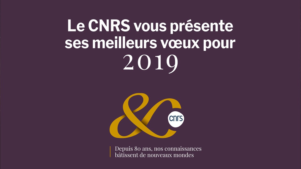 Le CNRS vous présente ses meilleurs voeux pour 2019
