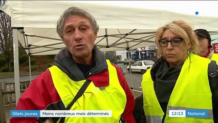 "Gilets jaunes" : moins nombreux, mais toujours aussi déterminés