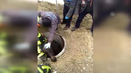 Rögara Düşen Atı İtfaiye Kurtardı
