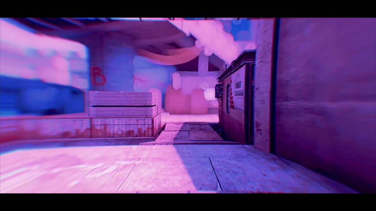 Dolphin #CSGO