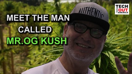 Meet the Man Called Mr. OG KUSH!