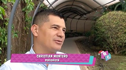 dbb-gordo-navideño-141218