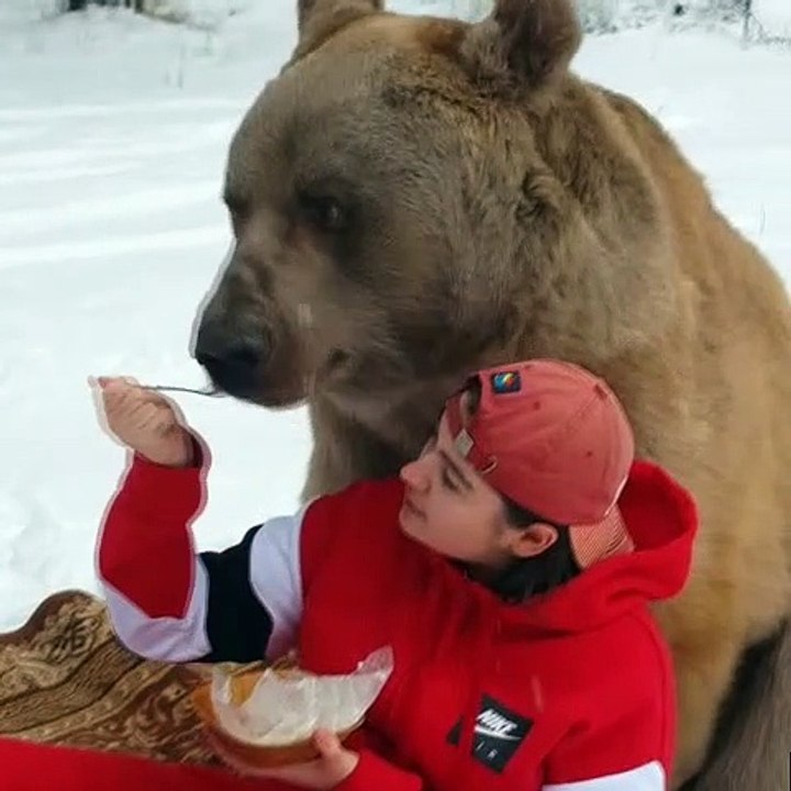 Bear Enjoys Snack on Blanket