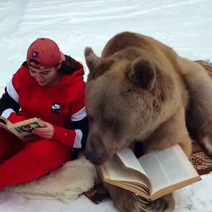 Bear Enjoys a Good Book