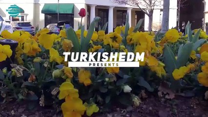 Ragga Tagga 《☆HD☆》