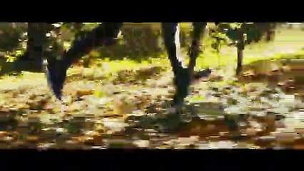 Diablo III: Eternal Collection - L'enfer vous accompagne partout.